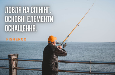 cache/resized/5c9ace8513a70901963caf5c7577dd2a.jpg