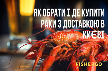 cache/resized/5cb0b59284f6ad58a2f12313bff61d0e.jpg