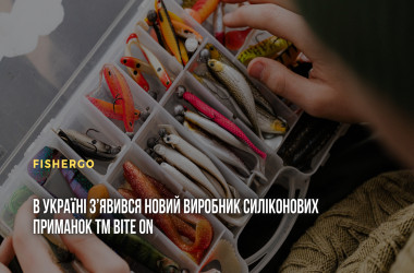 cache/resized/7bcc1d9d7dbf7a9ca4e0a396706d3a4f.jpg