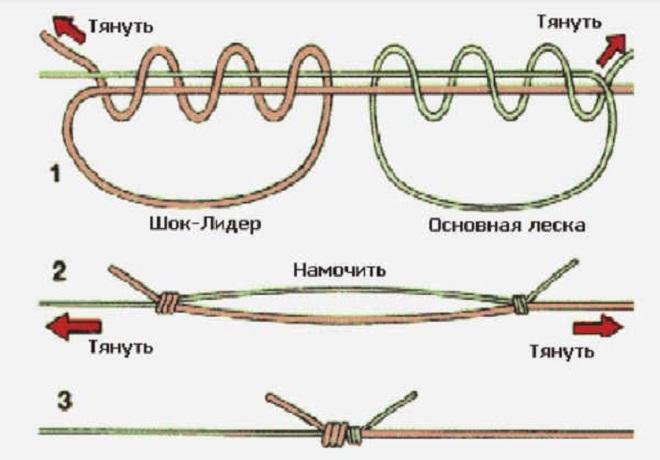 Подвійний Юні