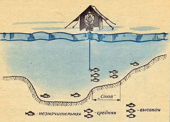 життя ляща зимою