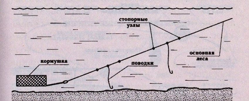 Риболовля на сома в жовтні троллінгом