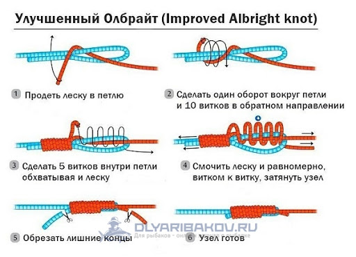 Олбрайт