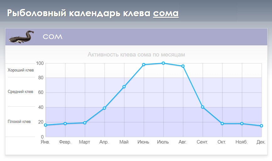 Календар клювання сома
