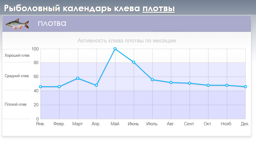 Рибальський календар клювання плотви