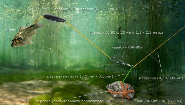 Як зробити донку на сома.