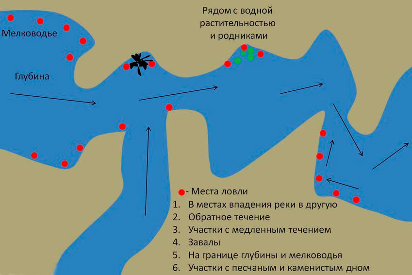 Вибираємо уловисте місце разом