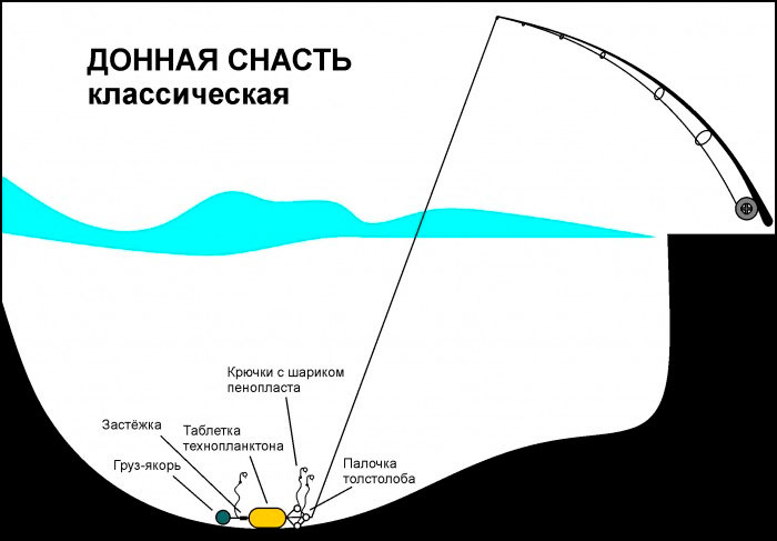 Конструкція донної снасті на товстолобика: