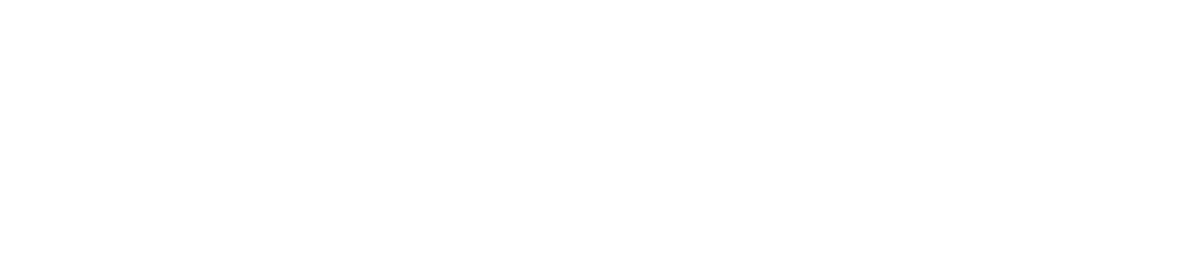 Media Fisher Go