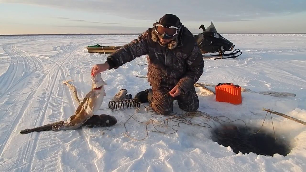 В какое время лучше ловить карпа зимой?