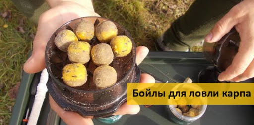 Ловимо коропа на бойли