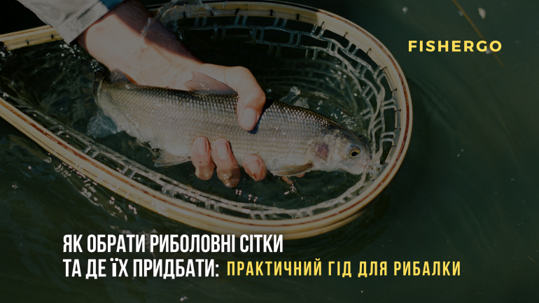 Як обрати риболовні сітки та де їх придбати: практичний гід для рибалки
