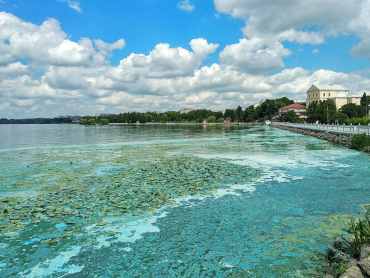 Як очистити озеро від мулу?