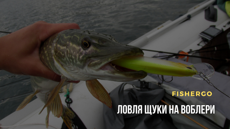 Ловля щуки на воблери