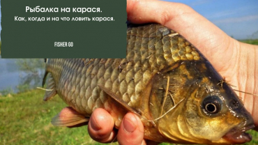 Рибалка на карася, Як ловити карася