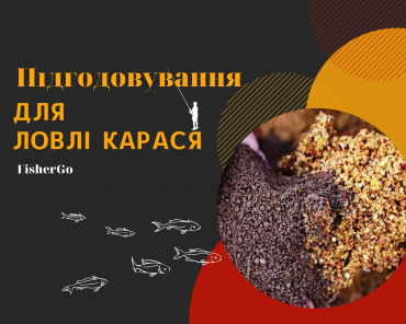 Підгодовування для ловлі карася