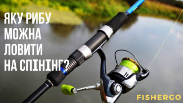 Яку рибу можна ловити на спінінг?