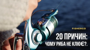 20 причин: чому риба не клює?