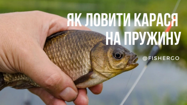 Як ловити карася на пружину