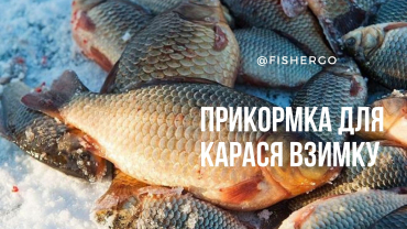 Прикормка для карася взимку