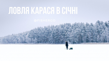 Ловля карася в січні