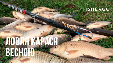 Ловля карася весною