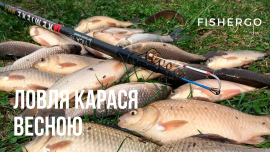 Ловля карася весною