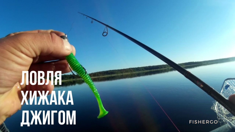 Ловля хижака джигом