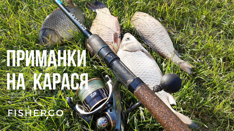 Приманки на карася