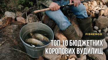 ТОП 10 бюджетних коропових вудилищ.