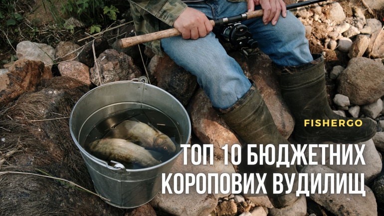 ТОП 10 бюджетних коропових вудилищ.