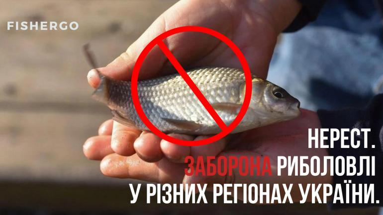Нерест 2023. Заборона риболовлі у різних регіонах України.