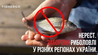 Нерест 2023. Заборона риболовлі у різних регіонах України.