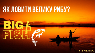 Як ловити велику рибу