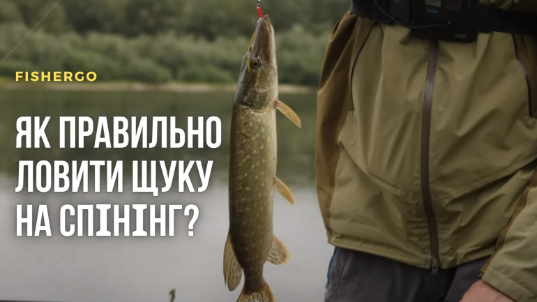 Як правильно ловити щуку на спінінг?