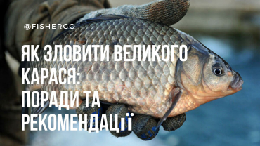Як зловити великого карася: поради та рекомендації