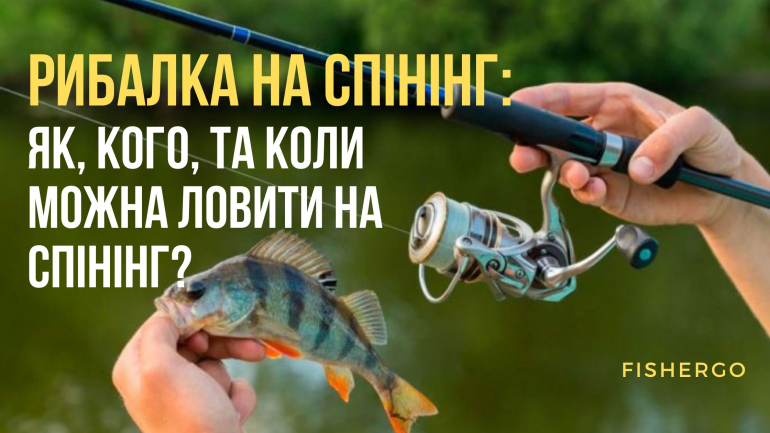 Рибалка на спінінг: як, кого, та коли можна ловити на спінінг?