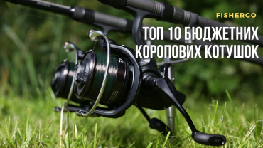 ТОП 10 бюджетних коропових котушок