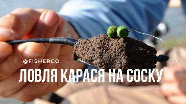 Ловля карася на соску