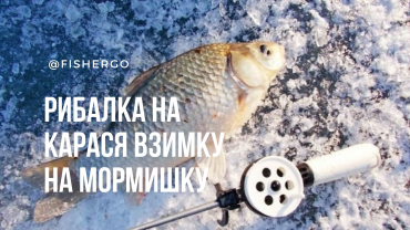 Рибалка на карася взимку на мормишку